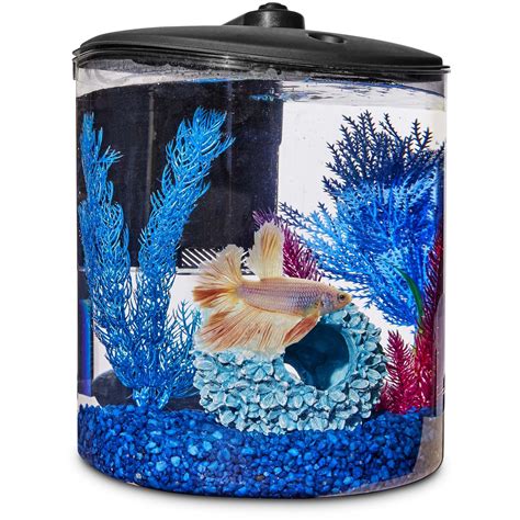 beta fish petco|Betta Fish Supplies, Accessories & Products .
